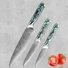 Chef Paring Utility Knife Set 67 Layers Damascus Steel Abalone Shell Handle Cut