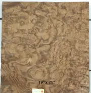 Walnut Burl wood veneer 19" x 21" raw no backing 1/42" thickness AAA grade #115