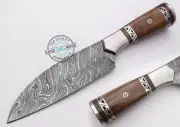 10.00" Custom Hand Made Beautiful Damascus Steel chef / kitchen Knife (2156)