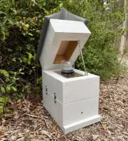 50mm Cypress Pine Painted Rough Sawn Perspex Jar Stingless Native Bush Bee Hive