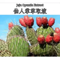 在飛比找蝦皮購物優惠-仙人掌萃取液 Jeju Opuntia Extract 化妝