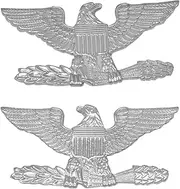 [Smith & Warren] 3/4"H Colonel Eagles Collar Brass Rank Insignia Silver Finish Police Fire Military Uniform Pin, Large, Nickel, no gemstone