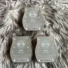 Scentsy Wax Melts Bars Zeppelin 3.2 Fl Oz NEW Retired Rare