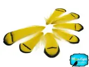 1 Dozen - Yellow Lady Amherst Pheasant Tippet Feathers Craft Mask Costume Decor