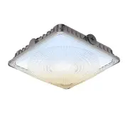 100W LED Canopy Lights Selectable Wattage 100/80/60W 3CCT 3000/4000/5000K, IP...