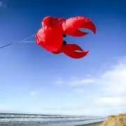 Crab Big Breeze 54" W x 58" H Windsock