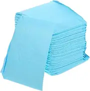 HAWILLOSCH 50pcs Pet Training Pad Diaper Puppy Doggy Pads Pet Pads Potty Pads for Dogs Pet Pee Pads Dogs Training Pads Animal Pee Pads Training Pads for Dogs Non-Woven Fabric Sky-Blue