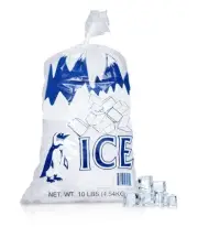 1000 10 lbs 1.7 mil Plastic Ice Bags Store Machine Commercial Printed Bag