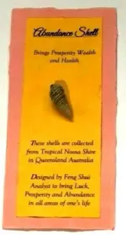 Abundance Shell ~ Attract Wealth Luck + Prosperity - Win Lotto