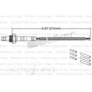 PAT Oxygen Sensor - EGO-003