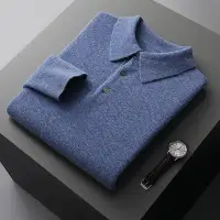 在飛比找Yahoo!奇摩拍賣優惠-100%純羊毛衫男士襯衣POLO領內搭波羅針商務休閒羊絨毛衣