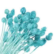 60 Pcs 16 Inch Dried Flowers for Vase Mini Pine Ball Flowers Blue(Stem)