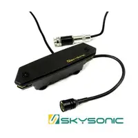 在飛比找Yahoo!奇摩拍賣優惠-SkySonic 木吉他 音孔 拾音器 T902 雙系統 -