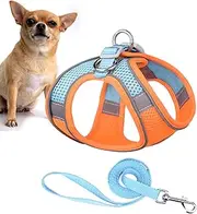 Kitten Harness - Lightweight Mesh Cat Vest with Reflective Strips | Adjustable Soft Harness for Kittens and Small Cats, Comfortable Pet Vest for Outdoor Walks, Indoor Safety, and Travel Training