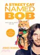 A Street Cat Named Bob ─ And How He Saved My Life