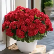 6 Bundles Artificial Flowers for Outdoors Decoration Silk Geranium, UV Resist...