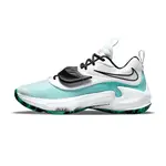 NIKE ZOOM FREAK 3 EP 男 白綠 字母哥 避震 包覆 運動 籃球鞋 DA0695-101