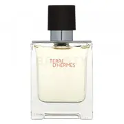 Hermès Terre D'Hermes Eau De Toilette Men 50 ml