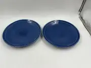 Bilberry Lane Stoneware 10in Blue Dinner Plate Set of 2 CC02B51015