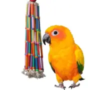 Super Bird Creations Wind Chimes Bird Toy for Medium Large Parrots 1 Pack