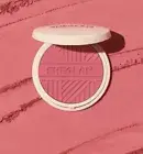 Sheglam Divine Flush Matte Blush LETS ESCAPE Face Powder Blush - Pink Coral