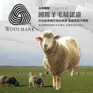 100%澳洲純羊毛被(雙人6x7尺) 《名雪購物》MIT台灣製 蓬鬆保暖 不易靜電 冬被 羊毛被