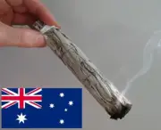 2nd Quality - Harmony Blend - White Sage & Lavender