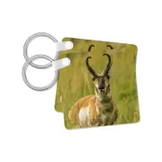 3dRose, South Dakota, Custer State Park. Pronghorn antelope buck., Key Chain