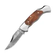 Boker Magnum Lady 01MB788DAM Damascus Folding Knife Burl Wood Lockback