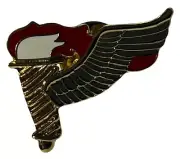 Pack of 6 Army Marlow White Pathfinder Motorcycle Hat Cap Lapel Pin M-328