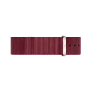 Daniel Wellington Classic 18 Roselyn Silver Watch Band