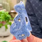 16G Natural Blue Coral Reef Cluster Marine Mineral Crystal Specimen