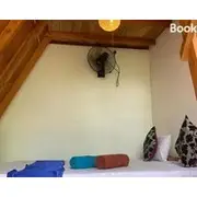 Angry Birds Tree house