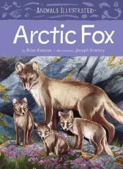 Brian Koonoo Animals Illustrated: Arctic Fox (Hardback) (US IMPORT)