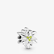 [PANDORA] Garden sterling silver charms