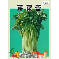 在飛比找蝦皮購物優惠-【萌田種子~蔬菜種子】P03 芹菜管種子300公克 , 又稱