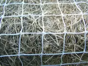 16' x 12' WHITE SQUARE NET HEAVY DUTY HORSE HAY NETTING 2" #36 TEST 350 LB
