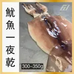 【灃屋生鮮】魷魚一夜乾(300-350/尾)#燒烤#居酒屋#一夜乾