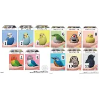 在飛比找蝦皮購物優惠-現貨 BANDAI 日本正品小鳥盒玩 特別彈 食玩小鳥 胖嘟
