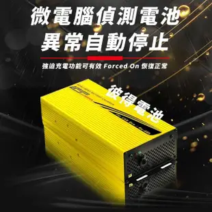【麻新電子】LFP-4815 48V 15A電池充電器(鉛酸 台灣製造 一年保固)