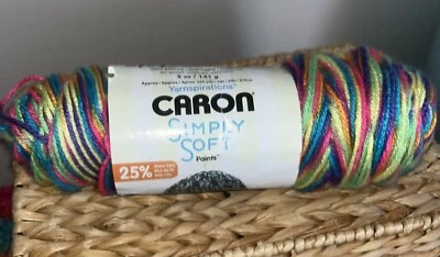 Caron SIMPLY SOFT Acrylic Yarn RAINBOW BRIGHT variegated 5 oz skein