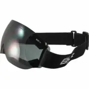 Birdz Thrush Sport Skydiving Snowboarding Motorcycle Riding Goggles Smoke Lens