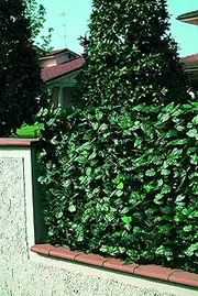 PVC Fence with Leaves Height 150 litres 2000 cm