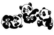 Cute Panda Trio Three 5" Black Vinyl Decals Car Window Laptop Tablet Notebook