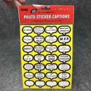 NEW Pioneer Family & Pets Photo Sticker Captions 56 Assorted Self-Adhesive