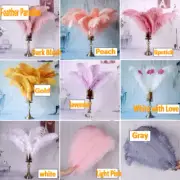 50 Pc Blush Pink Peach Ostrich Feathers 18-20 inches Instagram Popular Colors!