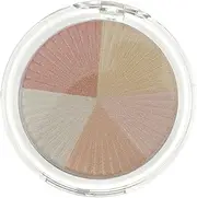 NOLITOY Face Highlight Powder Colors Shading Powder for Beauty for Professional Look