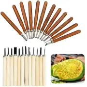12PCS Wood Carving Tools Hand Chisel Tool Set Professional Woodworking Gouges