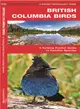 British Columbia Birds ─ A Folding Pocket Guide to Familiar Species