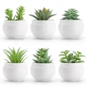 Der Rose Set of 6 Succulents Plants Artificial in Pots Small Fake Plants for